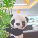 쿵푸팬더 훠궈 이미지