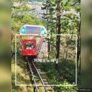거제관광모노레일 | 거제관광모노레일 가격 예약 주차 전망대 탑승 후기