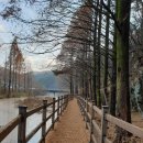 물통골 펜션가든 이미지