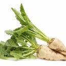 새싹약국 이미지