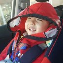 제랄다와 거인 | 4살 아이 ❤ 종이컵인형극 제랄다와거인 관람 후기