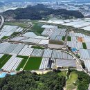 산단도로5 이미지