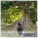 사랑의연리근 | 음성군 연리근 공원 방문기