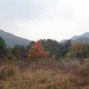 무릉3리마을회관 이미지