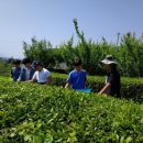 문정농장 이미지