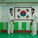 고려체대태권도 Daum카페