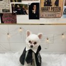 복탄산수 이미지