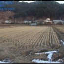 항사1교