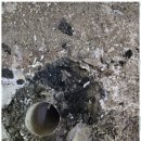 와이에이치 이미지