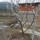 월은농장 이미지