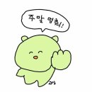 에코스크린골프 이미지