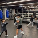 카운터복싱 동탄 목동 이미지