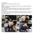 모텔 손님이 숙박비 대신 두고간것 이미지