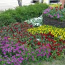 새광명행정사 이미지