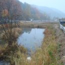 미꾸라지세상 이미지