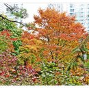아시아공원 이미지