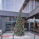 숲정 | 정관 대형카페 젬스톤 정관인더숲 (GEMSTONE) 솔직 후기｜엄마랑 가기 좋은 카페, 시그니처 메뉴 리뷰