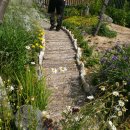 별빛사냥 이미지