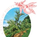 이혁농장 이미지