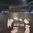 꿈돈168무계점