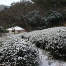 청해진 다원