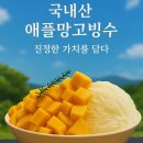 강성호세꼬시 | 고성 물회 맛집 추천 | 강성호 세꼬시 회무침·세꼬시회 솔직 후기