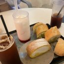 Pacific BUBBLES | 23.05.20 [공연] &lt;Sqaure : Yerin Baek Asia Pacific Tour - 서울&gt; 콘서트 후기