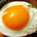 미세노센세