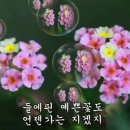 빚지고 간 인생 이미지