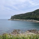 성길민박 이미지