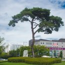 푸름공원 이미지