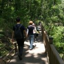 제암산자연휴양림 더늠길 이미지