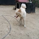 최병태농장 이미지