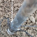 푸름농장 이미지