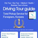 만성여행사
