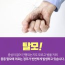 해운대 대 동일 이미지