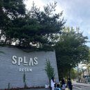 P.C게임방 | [예산숙소 스플라스 리솜]플렉스타워 클린형C S30 5인실, 리솜 산책길, 문어치킨 후기
