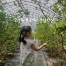 하원농장 이미지