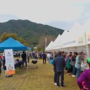 봉황섬터 이미지