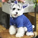 토토애견 이미지