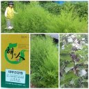 대부건강원 이미지