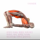 브릿지 이미지
