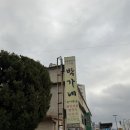 봉이빈대떡 | 영월여행 웨이팅안하는 관광객되기 꿀팁