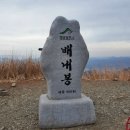 ▣ 황금물결 출렁되는 & 재약산~능동산~간월산~신불산~영축산 이미지