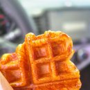 제주냐옹실 고양이미용 이미지