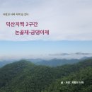 (주)덕산임업 | 덕산지맥 2구간 논골재-위동재-뱃티재-금댕이재