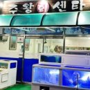 주왕회센타