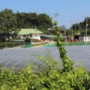 실로암 힐링홈 이미지