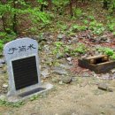 평창 우통수 이미지