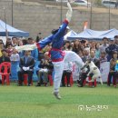춘천애견체험박물관 이미지